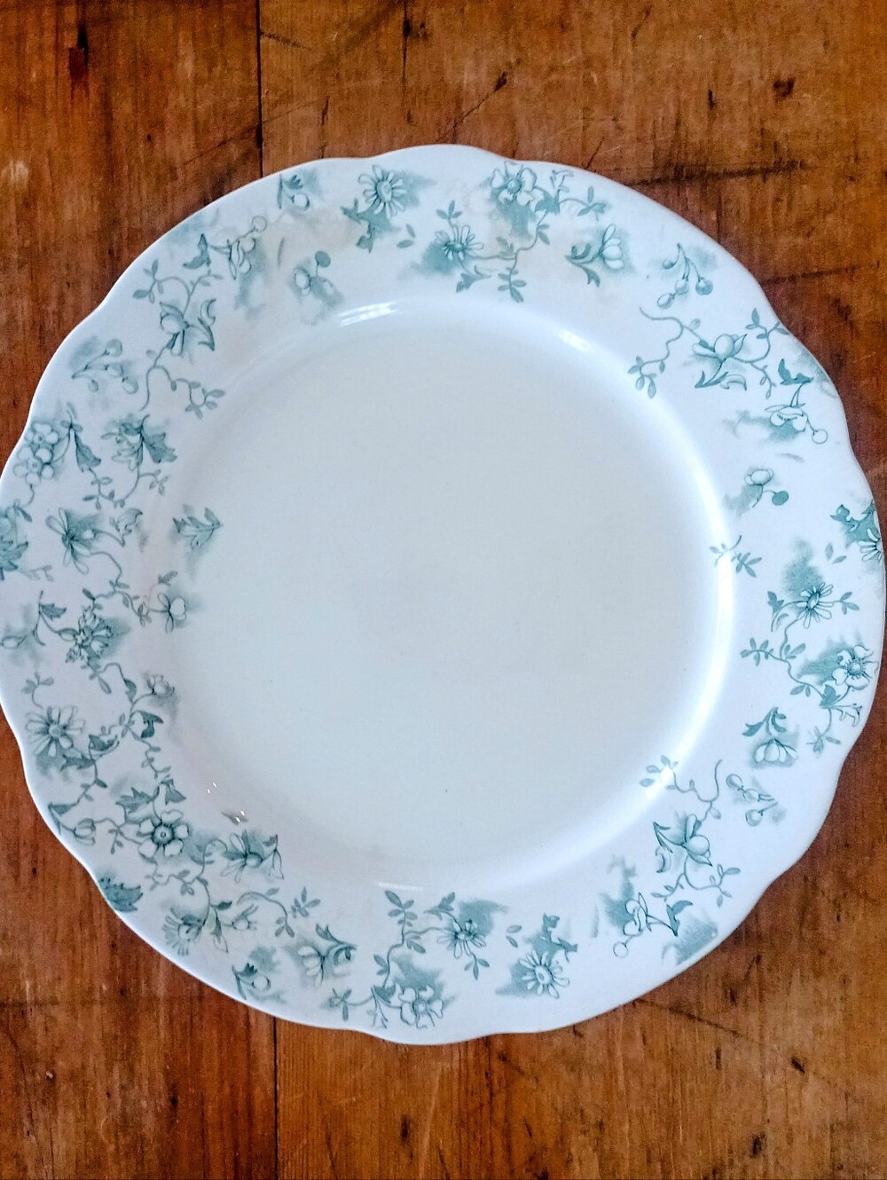 Rigeways Royal Dinner Plate with Green Floral Border